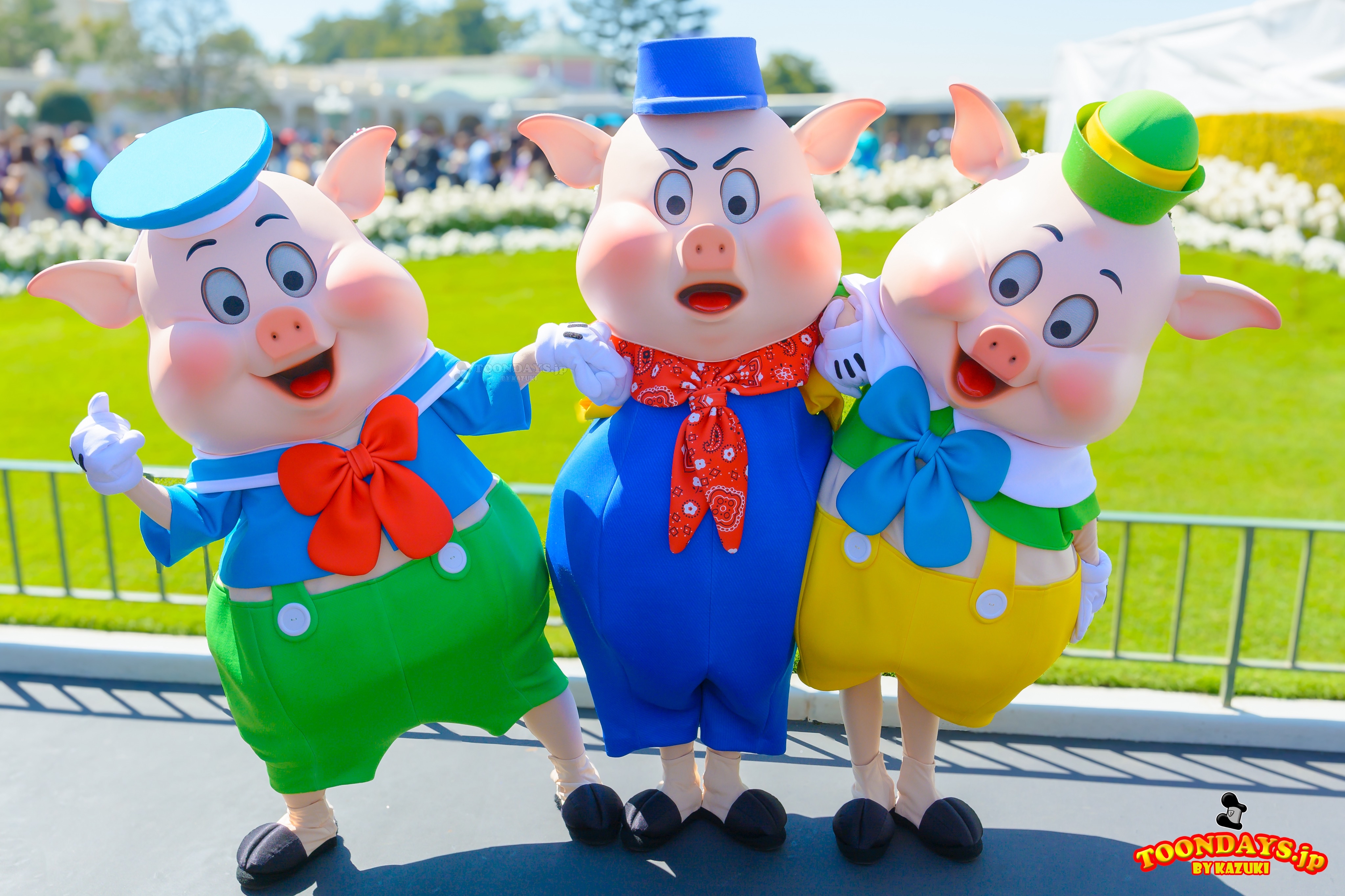TDL エントランス グリーティング　ファイファーピッグ 三匹のこぶた
