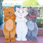 おしゃれキャット