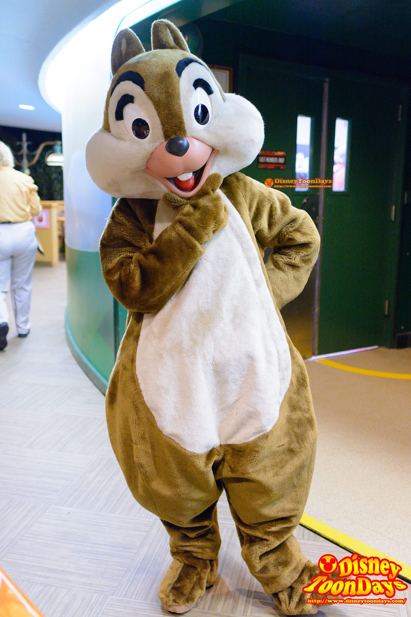 WDW エプコット フィーチャーワールド ガーデングリル グリーティング チップ　　