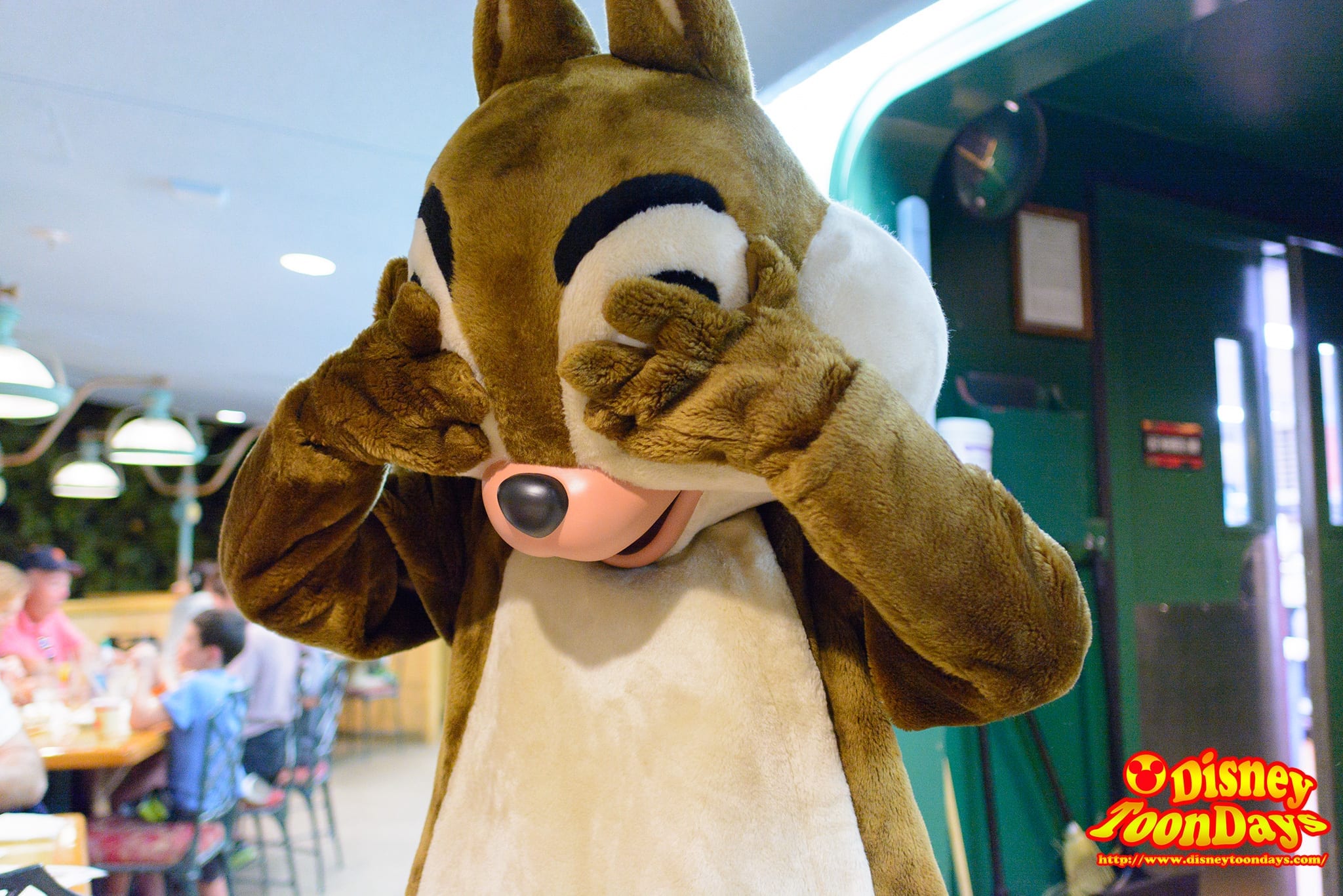 WDW エプコット フィーチャーワールド ガーデングリル グリーティング チップ　