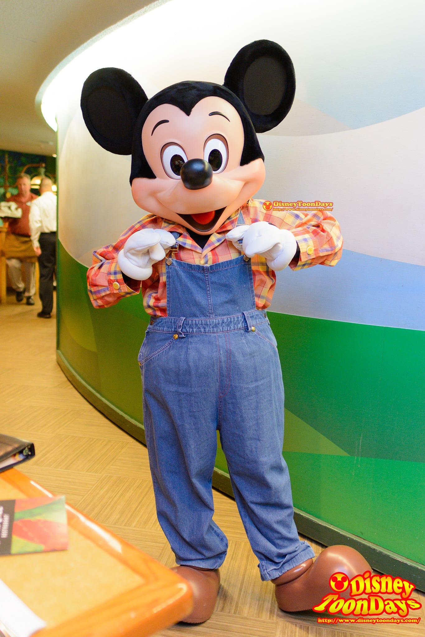 WDW エプコット フィーチャーワールド ガーデングリル グリーティング ミッキーマウス