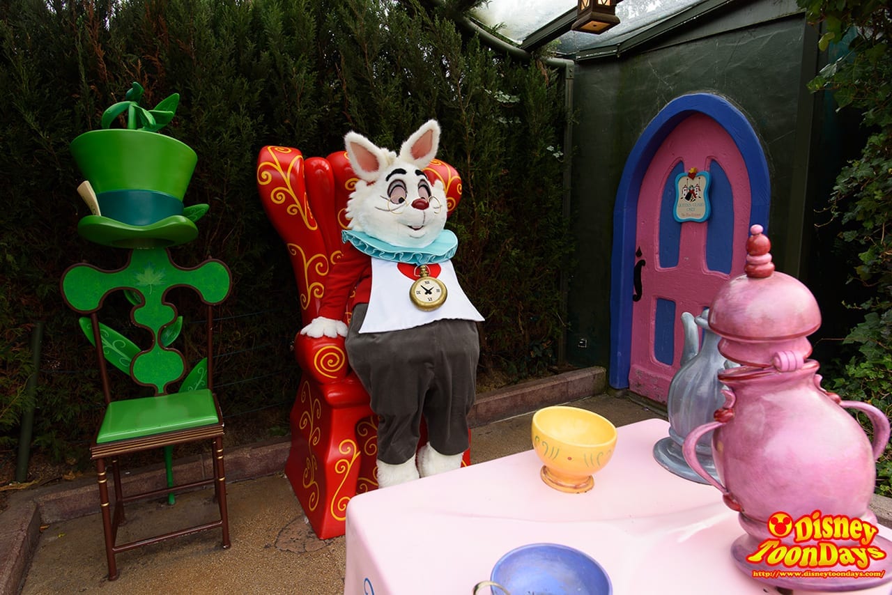 DLP ファンタジーランド グリーティング ホワイトラビット (2)