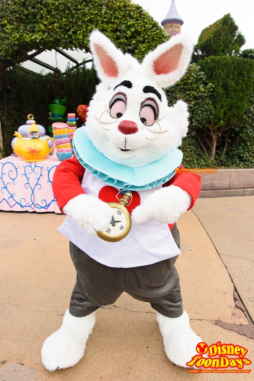 DLP ファンタジーランド グリーティング ホワイトラビット