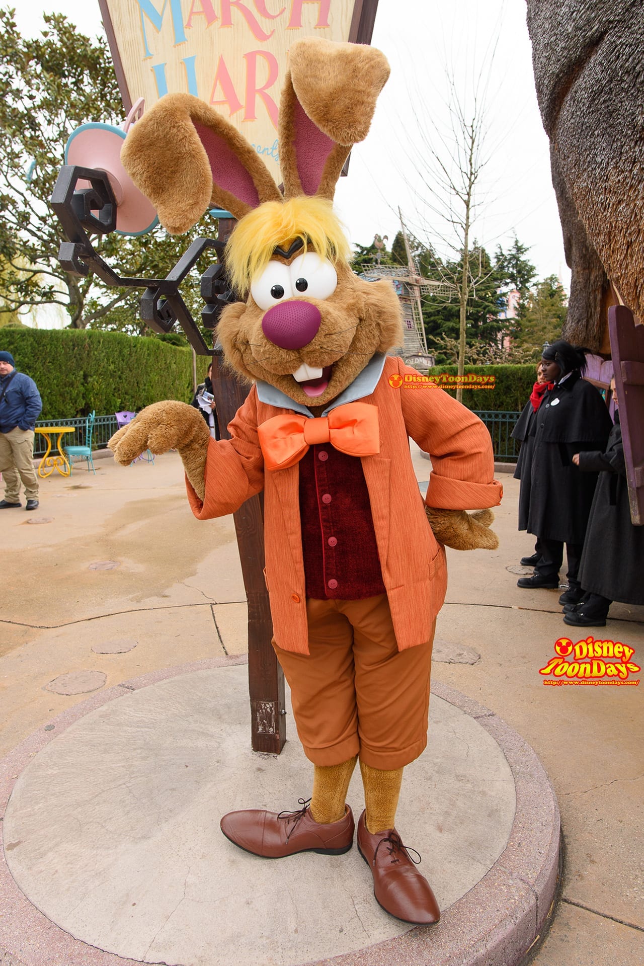 DLP ファンタジーランド グリーティング マーチへア