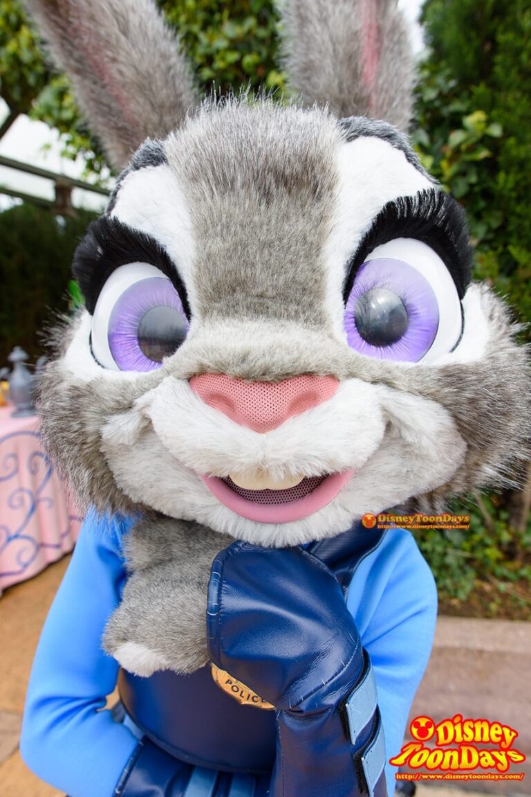 DLP ファンタジーランド グリーティング ジュディ (1)