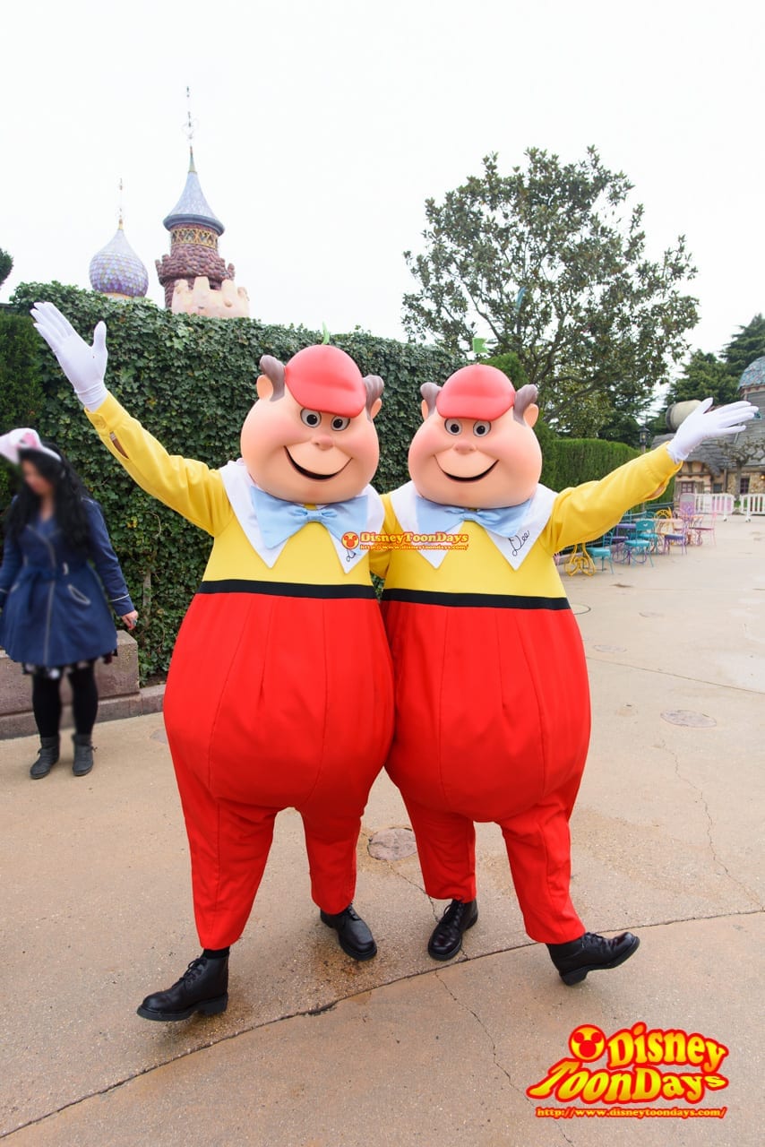 DLP ファンタジーランド グリーティング トゥイードルディー トゥイードルダム
