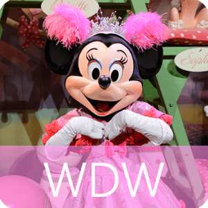 WDW ウォルトディズニーワールド