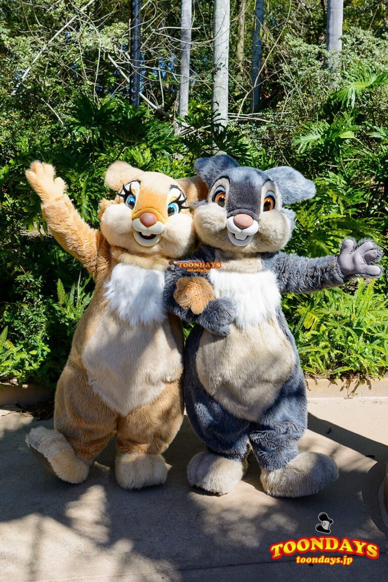WDW アニマルキングダム グリーティング サンパー ミスバニー