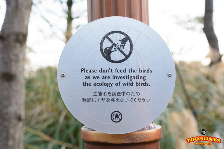 TDS ポートディスカバリー