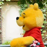 tdl-pooh-2