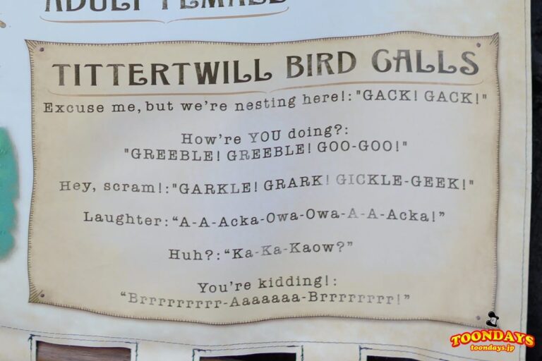 ティッタートゥイルの鳴き声