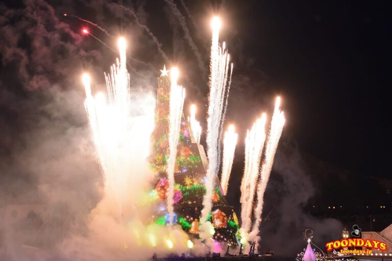 TDS クリスマス・ウィッシュ 2016 カラー・オブ・クリスマス~ナイトタイム・ウィッシュ~