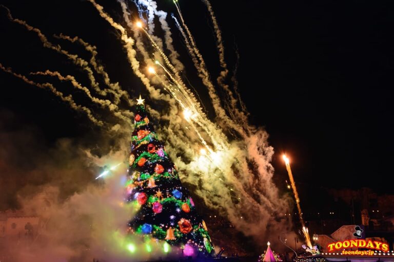 TDS クリスマス・ウィッシュ 2016 カラー・オブ・クリスマス~ナイトタイム・ウィッシュ~