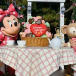 TDS スウィート・ダッフィー 2017 アメリカンウォーターフロント ケープコッド デコレーション1