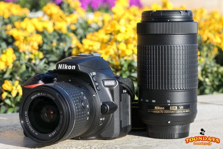 D5600