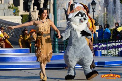 ミーコの誕生日