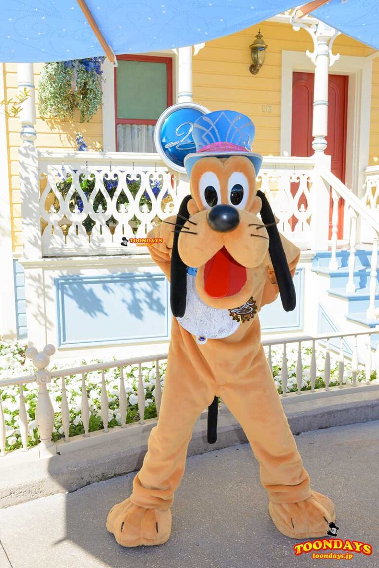 DLP メインストリートUSA　グリーティング プルート2