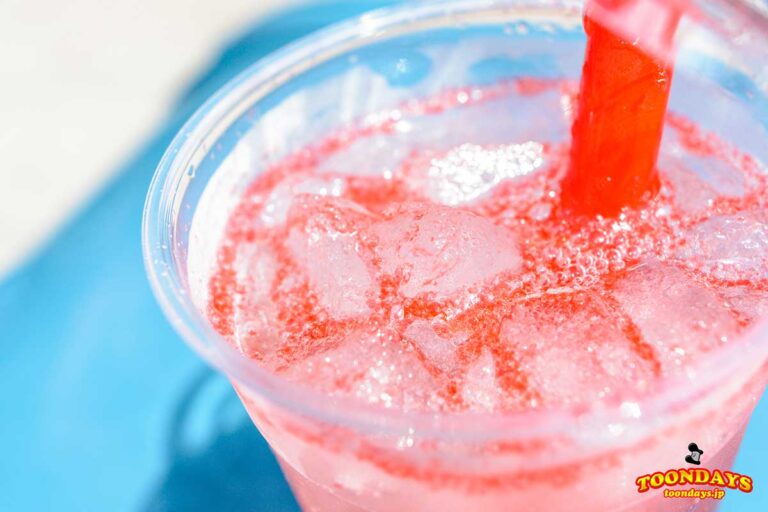 TDL パイレーツ オブ カリビアン 最後の海賊 スペシャルプログラム 20173