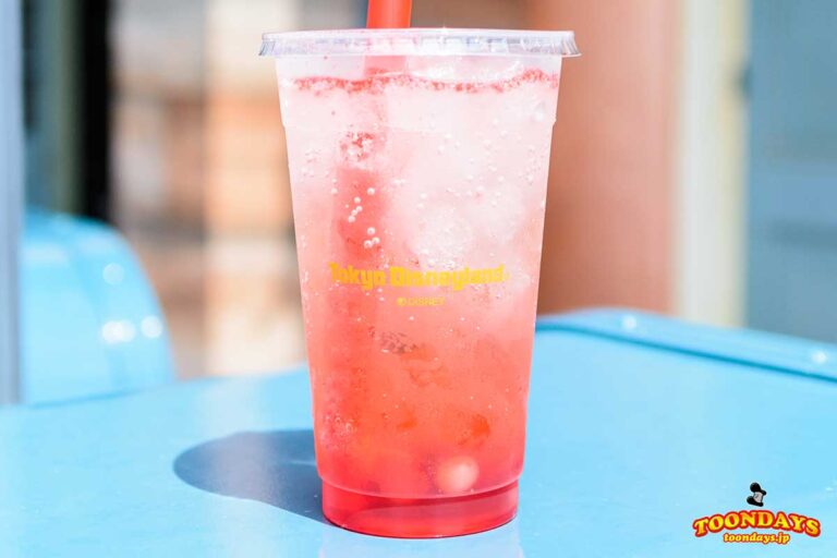 TDL パイレーツ オブ カリビアン 最後の海賊 スペシャルプログラム 20175