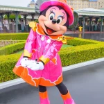 雨の日エントランスグリーティングのミニーマウス