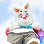 ホワイトラビット