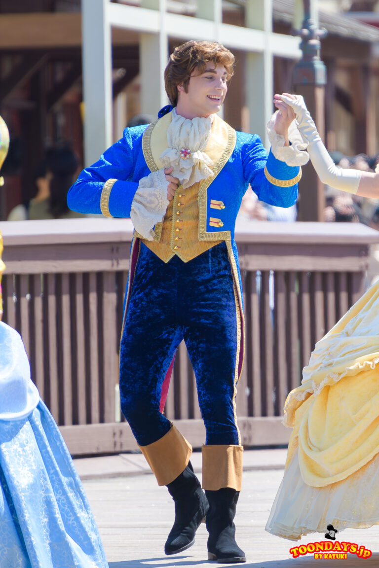 TDL ディズニー・ハーモニー・イン・カラー プリンス（ビースト）