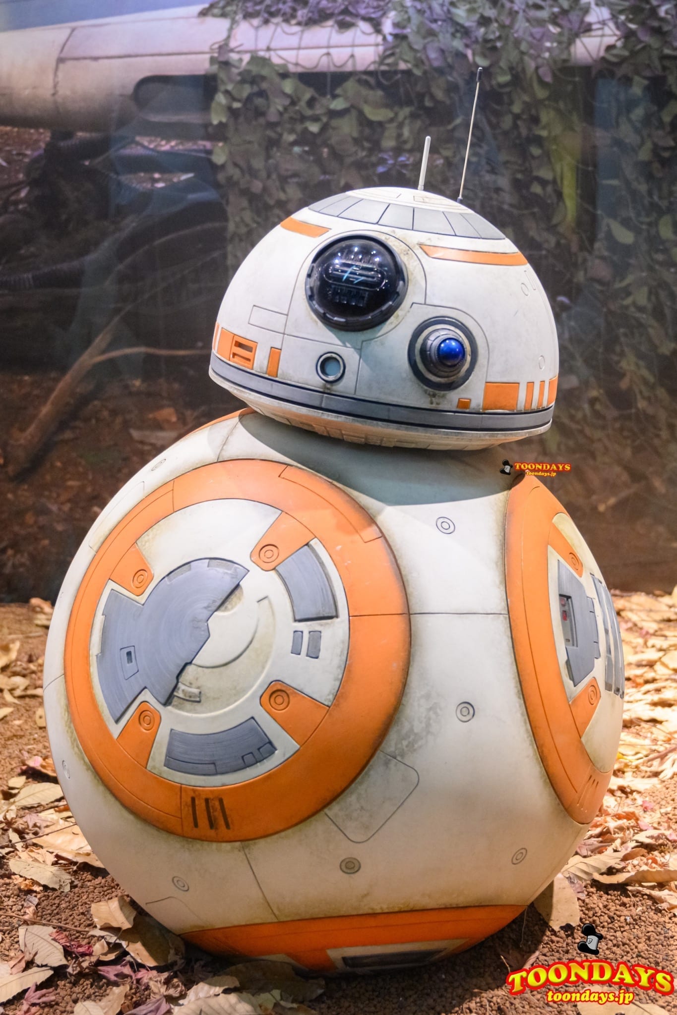 スター・ツアーズ『スカイウォーカーの夜明け』のフォトロケーションに登場したBB-8