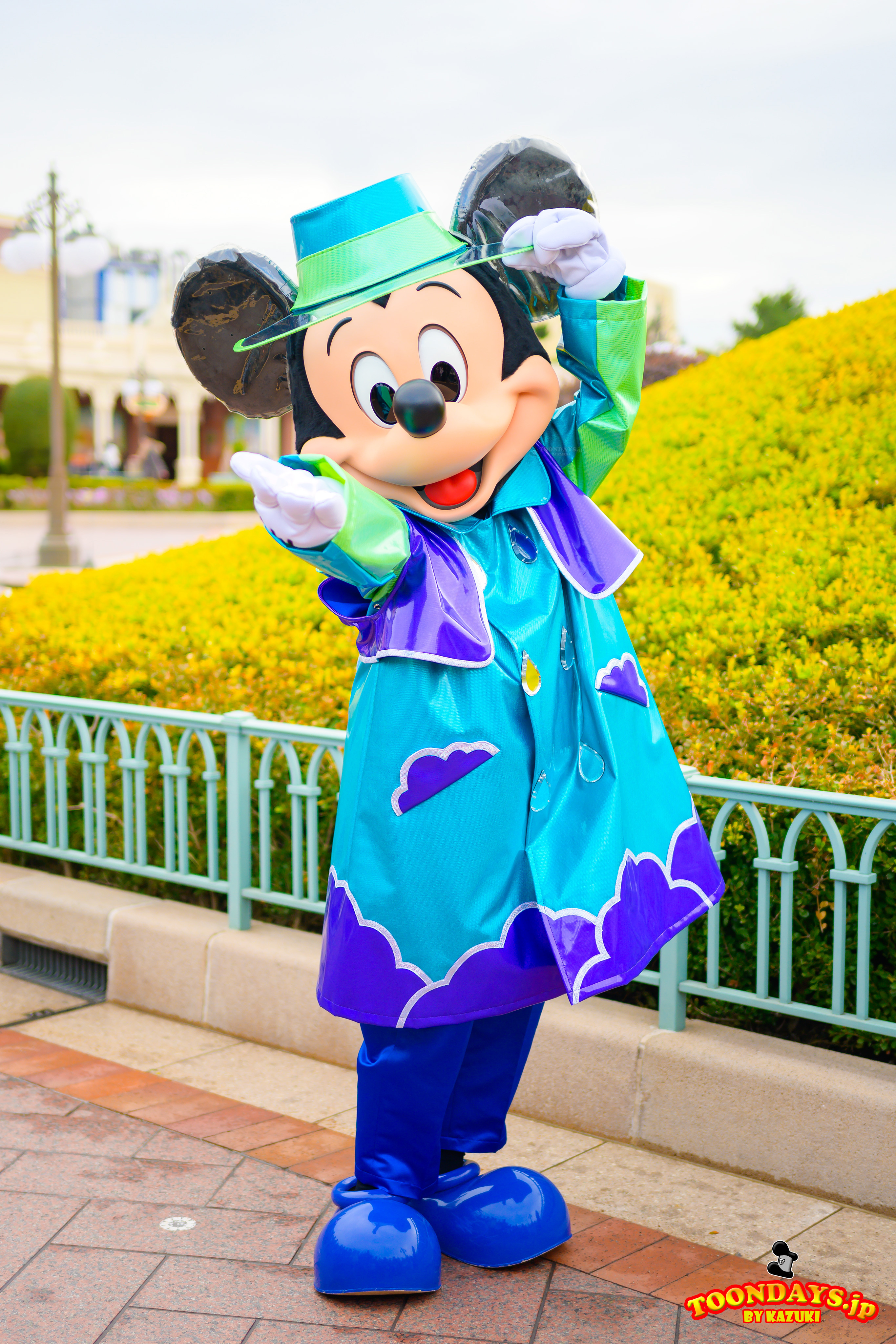 TDL ワールドバザール（エントランス） フリーグリーティング ミッキーマウス カッパ