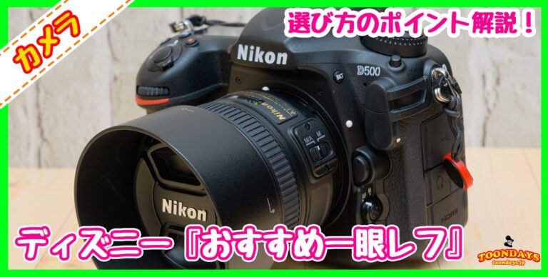 【最新版】初心者でも使えるディズニー『オススメの一眼レフカメラ』は？