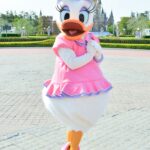 デイジーダック