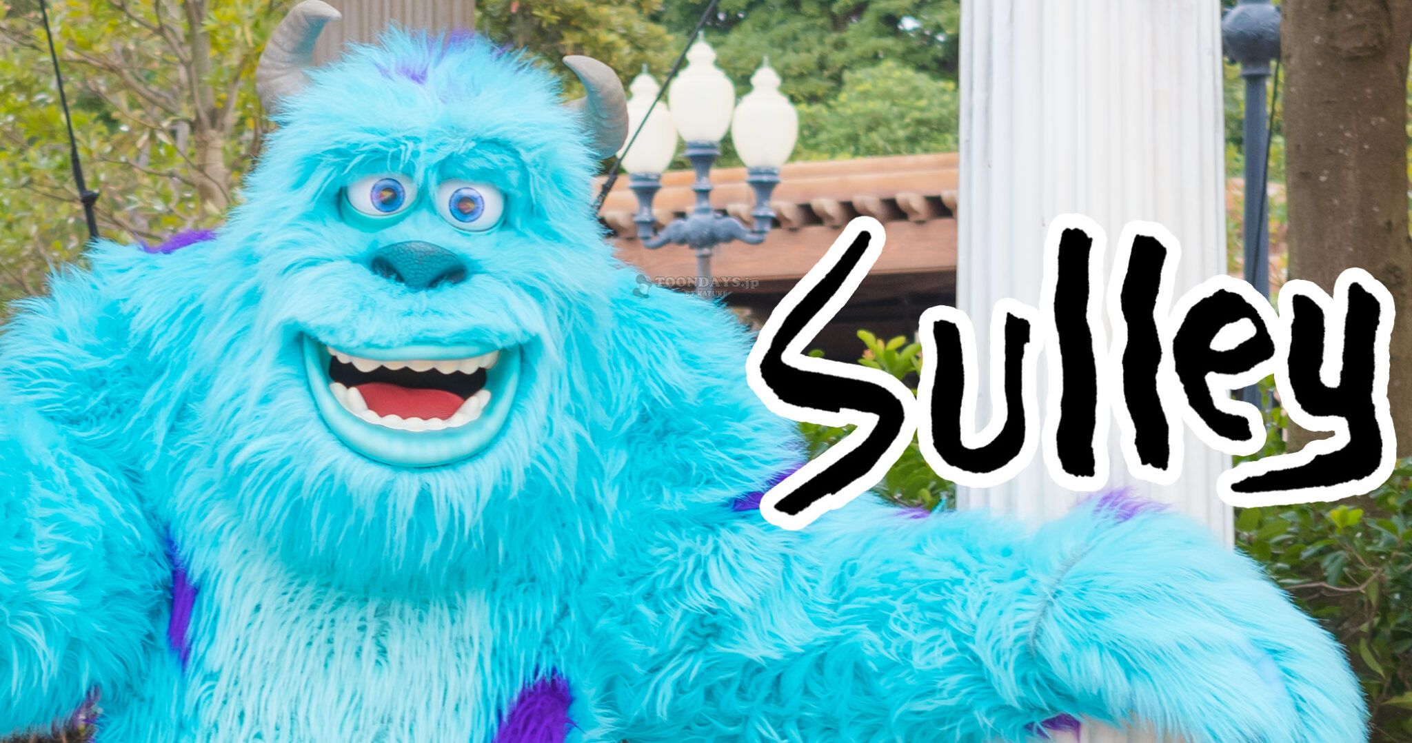 サリーのカード