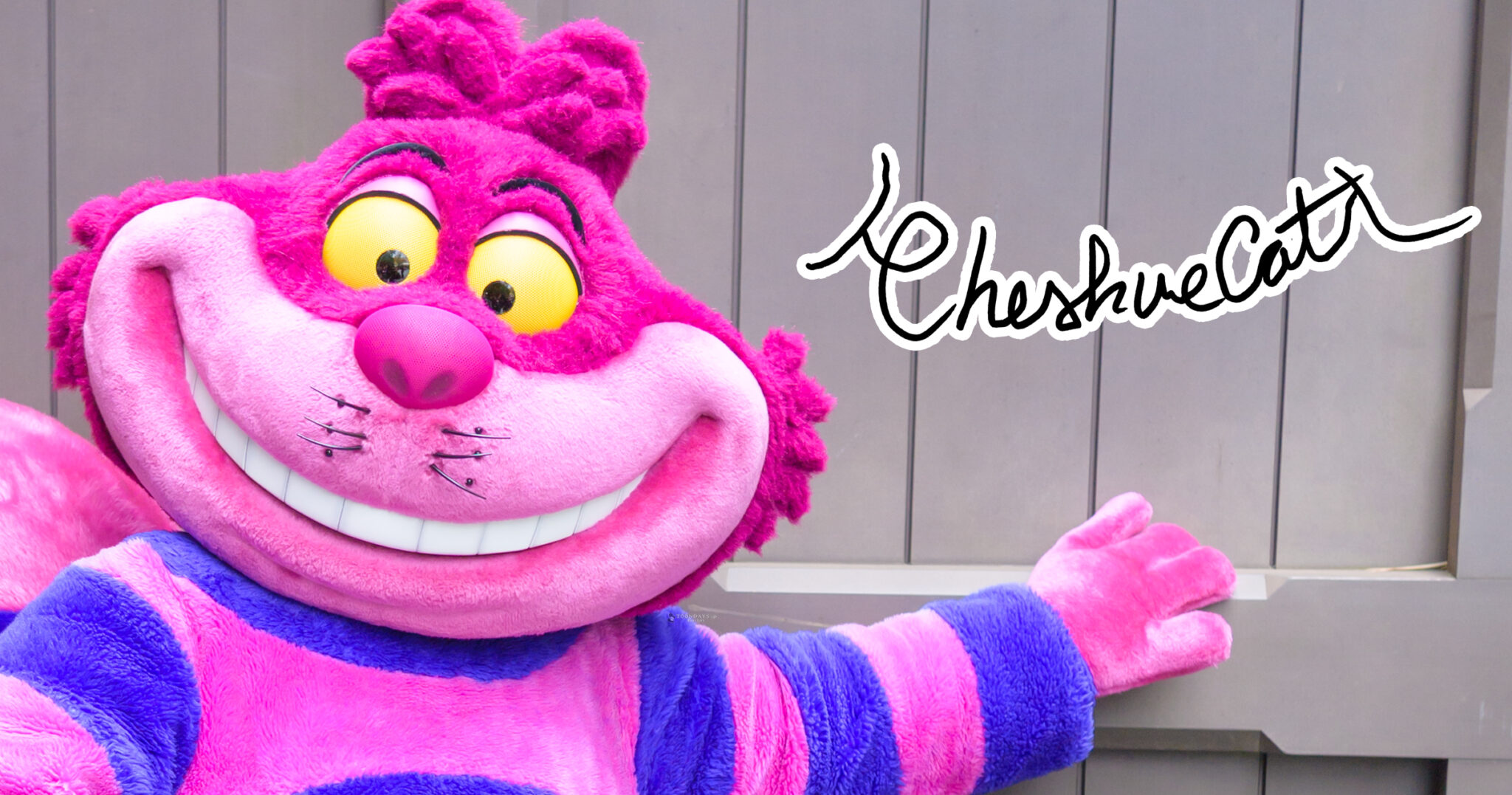 チェシャ猫のカード