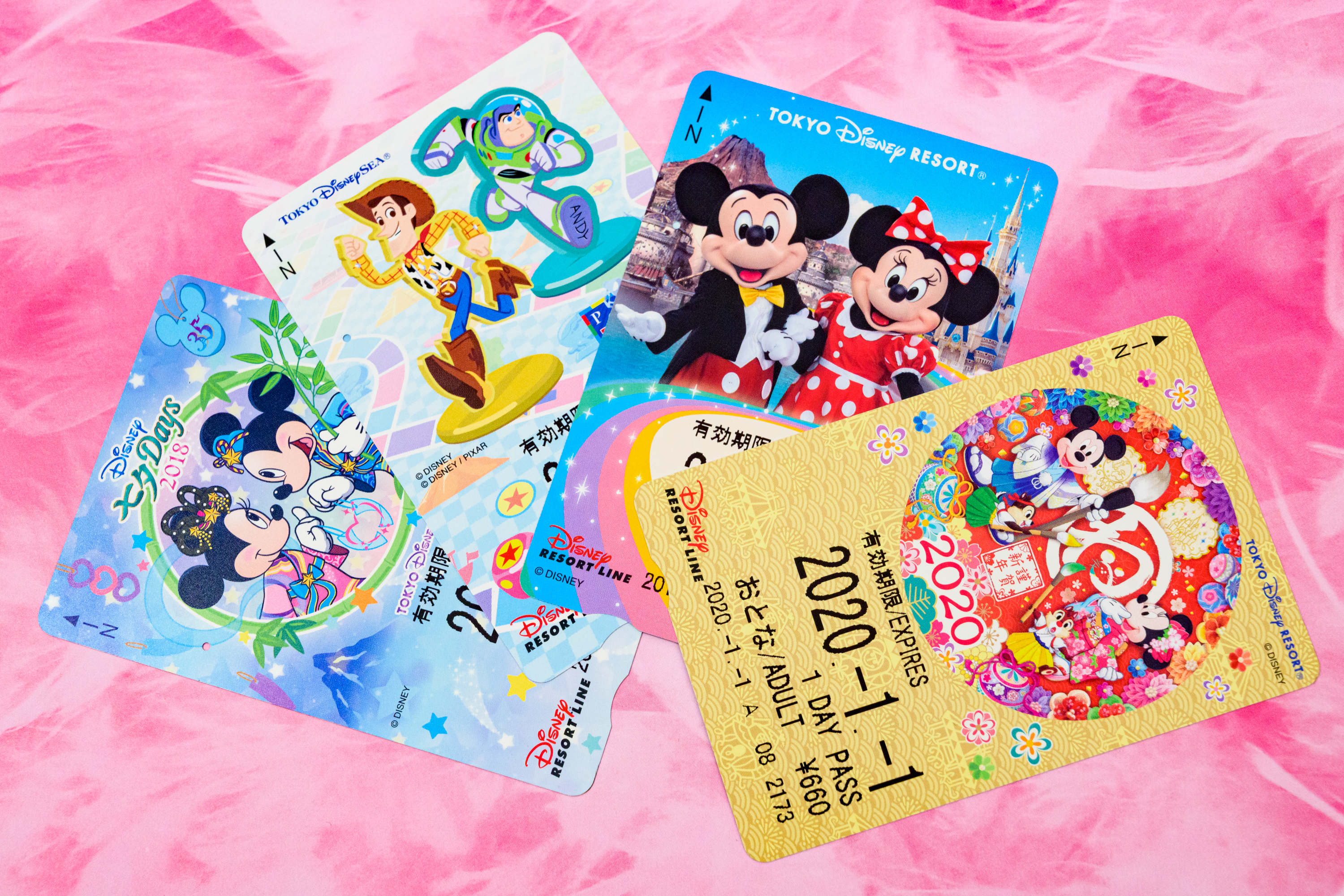 ディズニーリゾートラインのフリーきっぷ