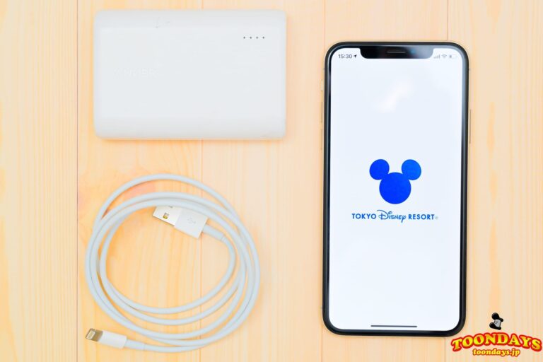 ディズニーに行く最低限の持ち物