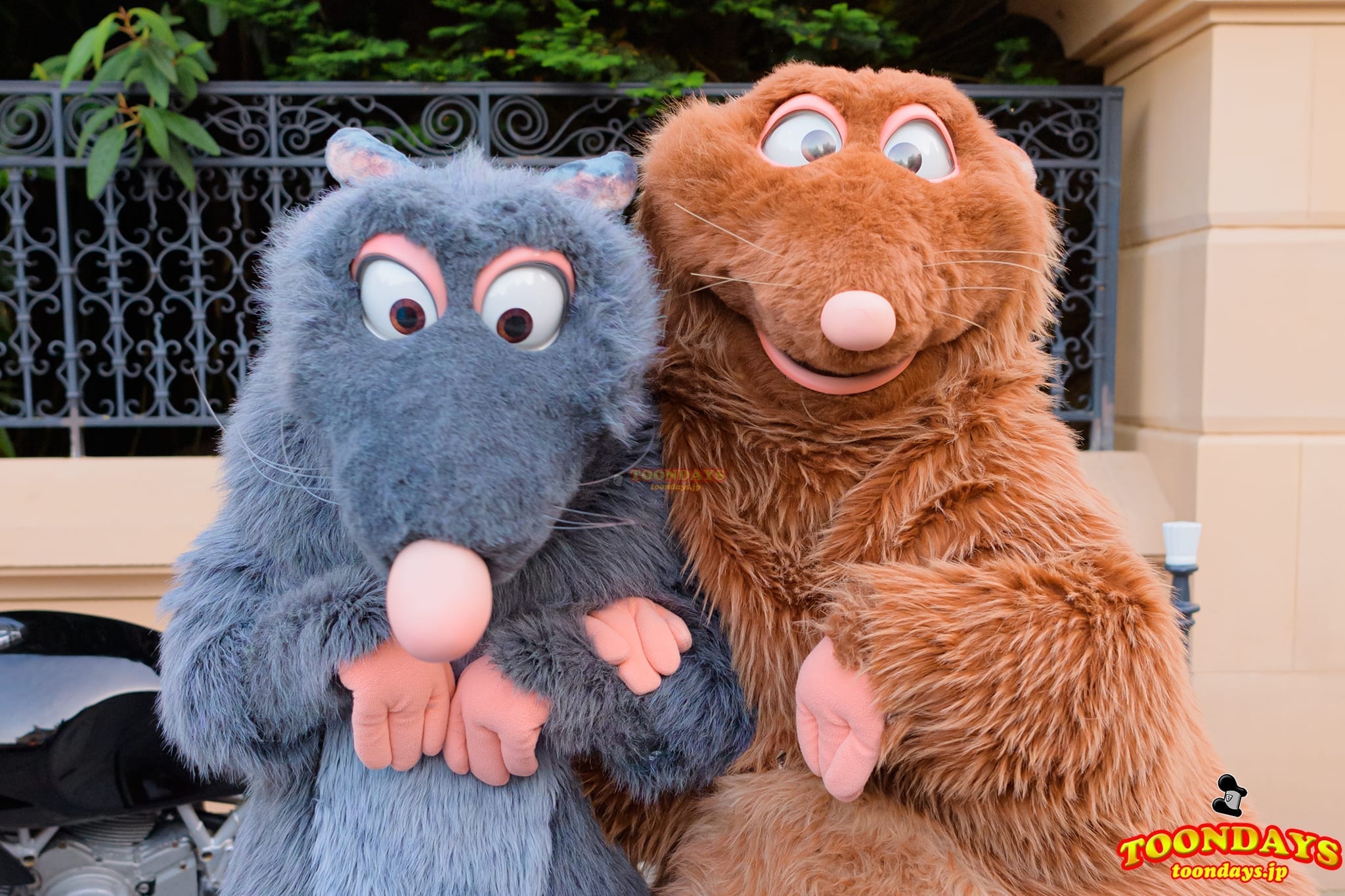 レミーとおいしいレストランの仲間たち