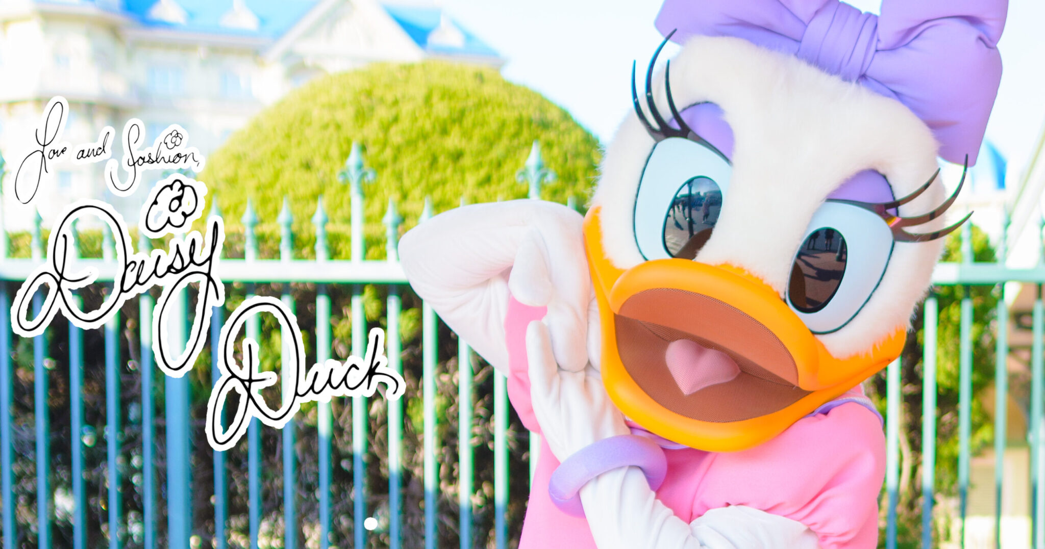 デイジーダック カード