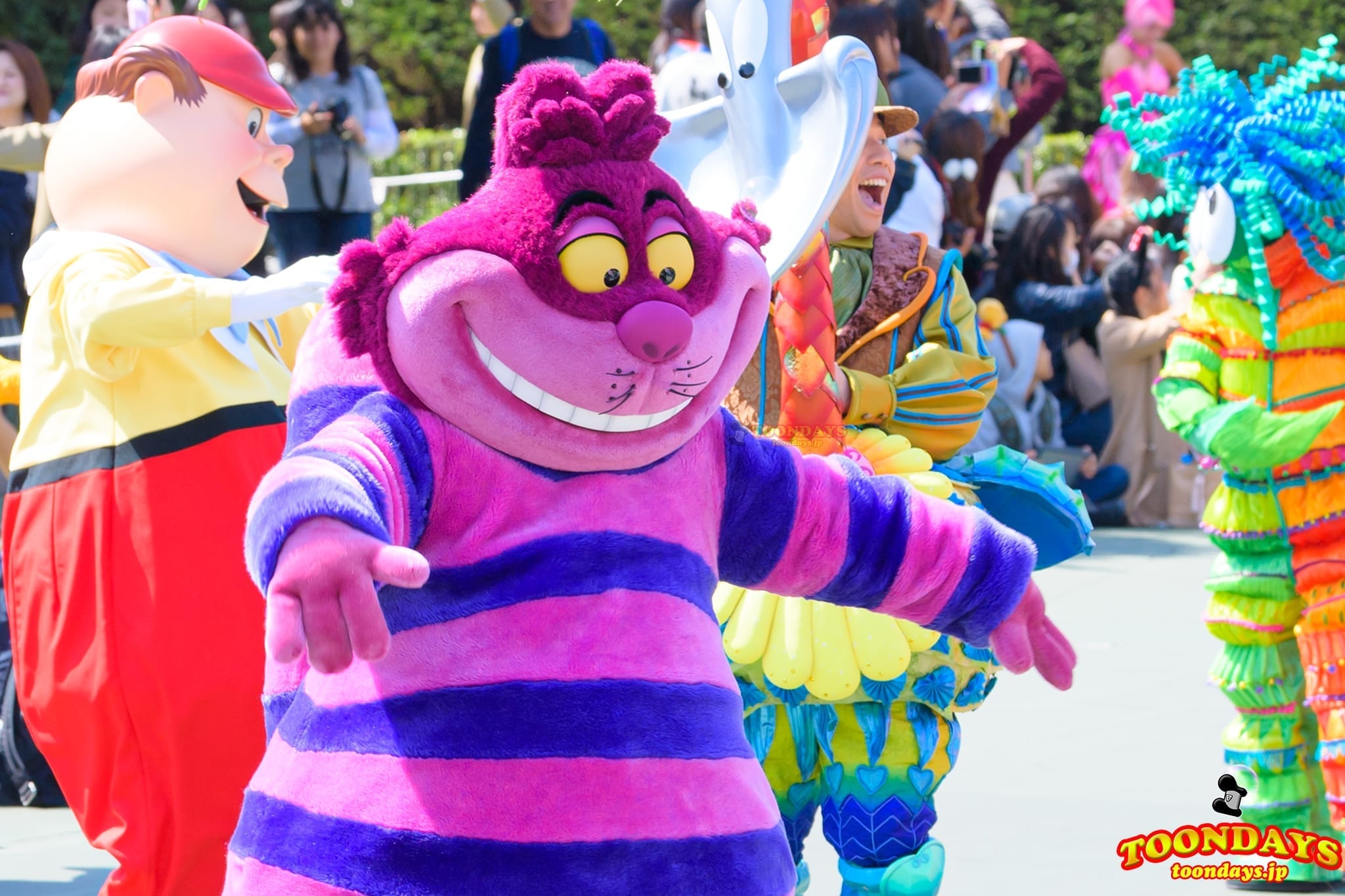 TDL ドリーミングアップ 21 チェシャ猫