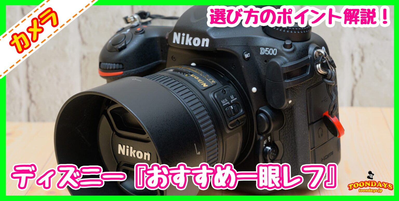 【最新版】初心者でも使える『ディズニー用のおすすめ一眼レフカメラ』は?