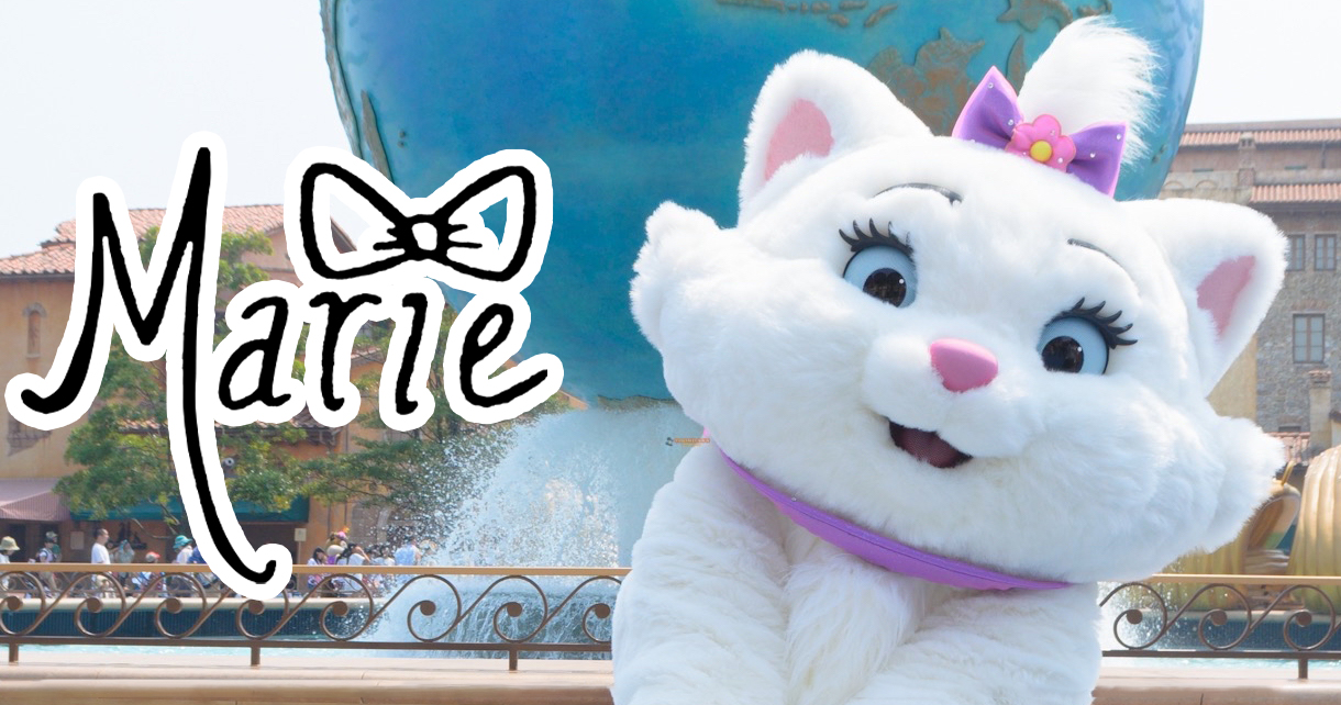 マリーのカード