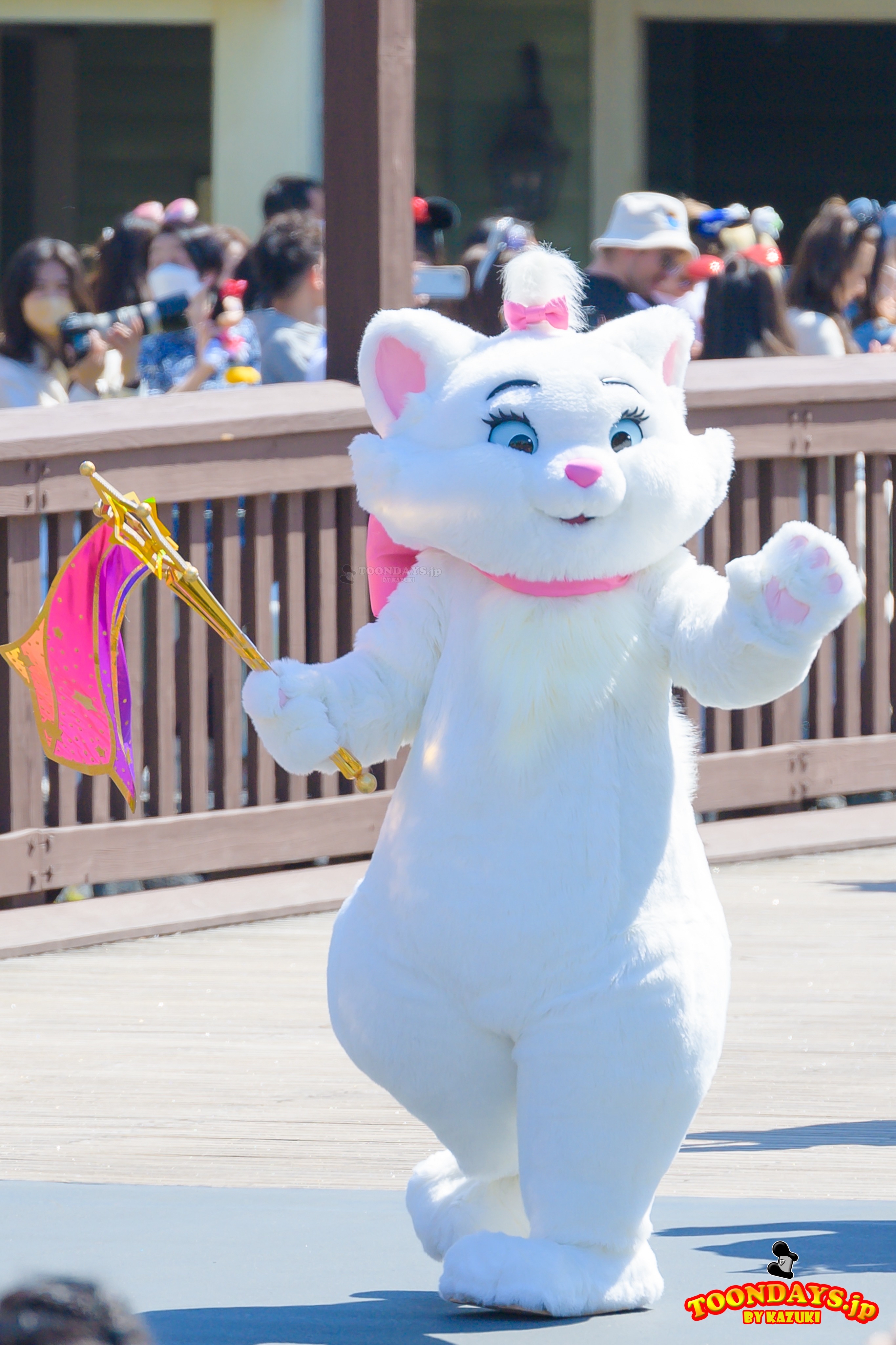 ディズニー・ハーモニー・イン・カラー