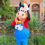 ホーレス・ホースカラー