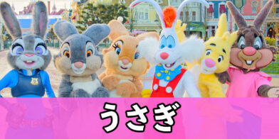 新バナー_うさぎ