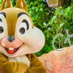 チップカード