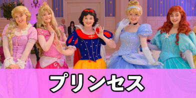 新バナー_プリンセス