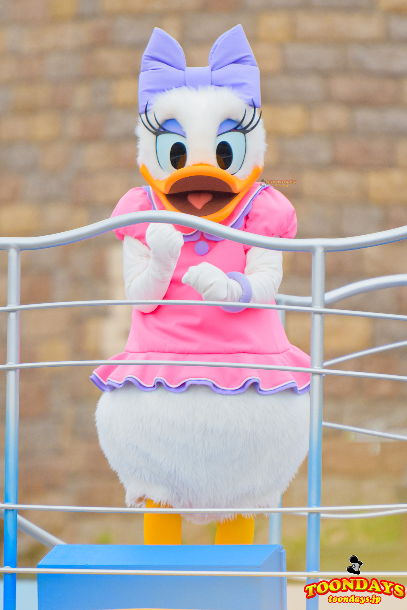 TDL ジャンボリミッキー! 4 デイジーダック