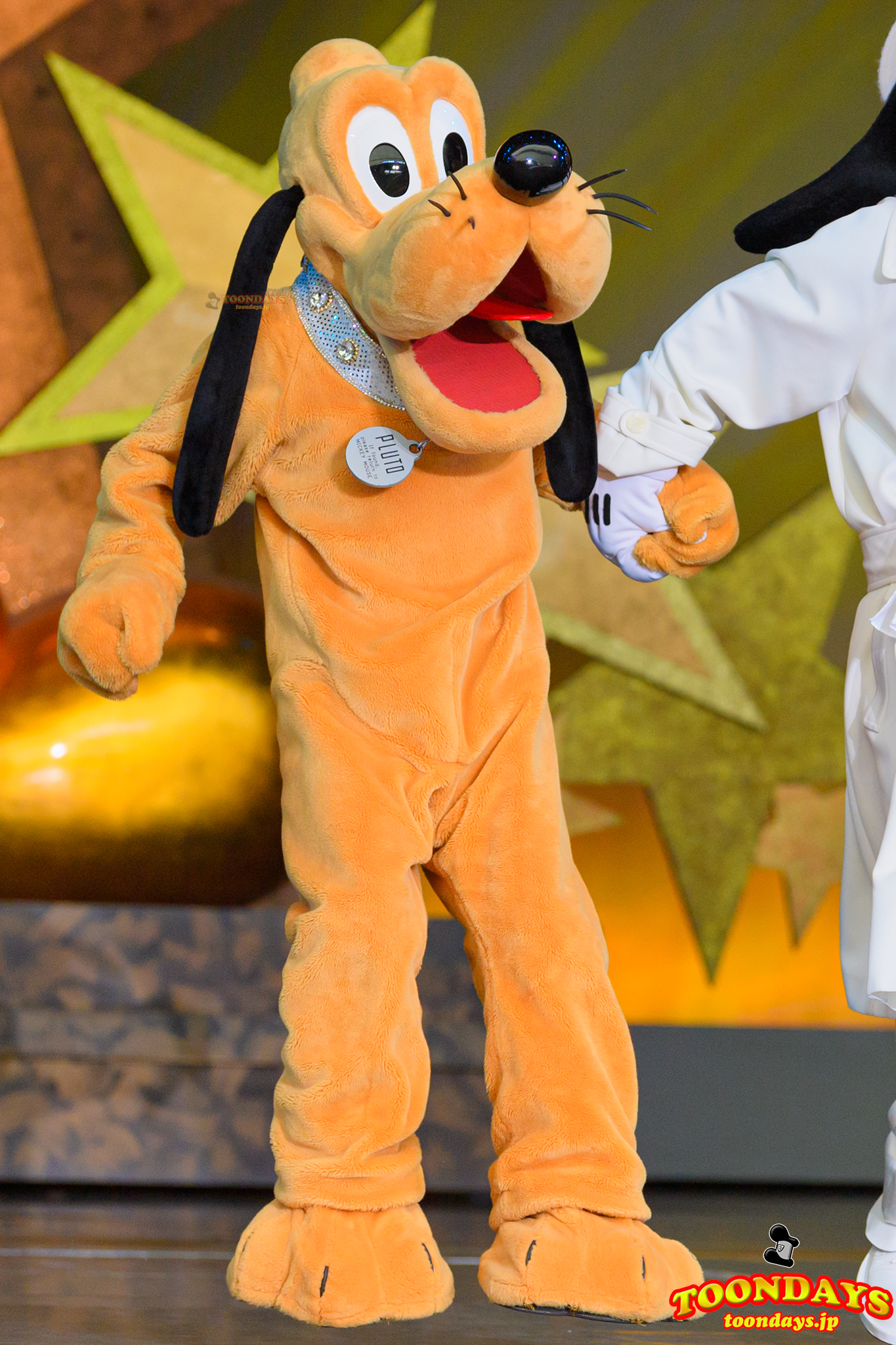 TDL ワンマンズ・ドリームⅡ - ザ・マジック・リブズ・オン プルート4