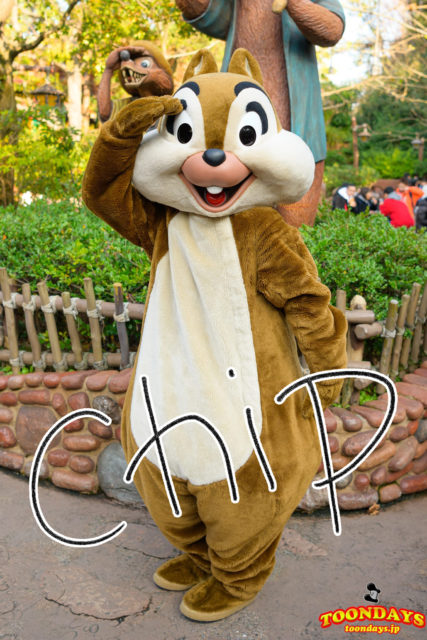 チップのプロフィール