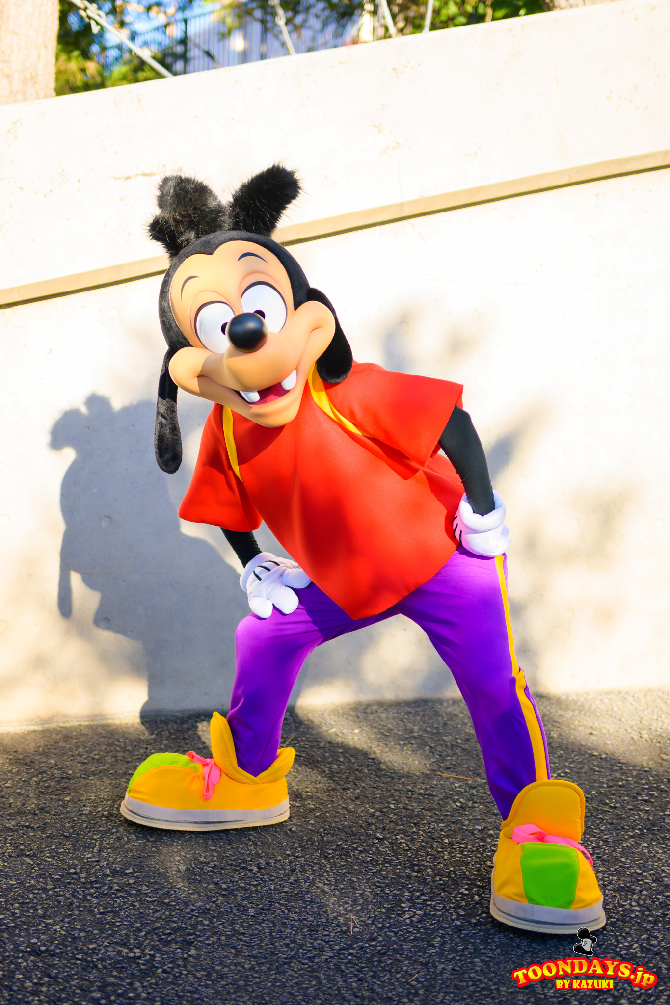 TDS ポートディスカバリー フリーグリーティング マックス