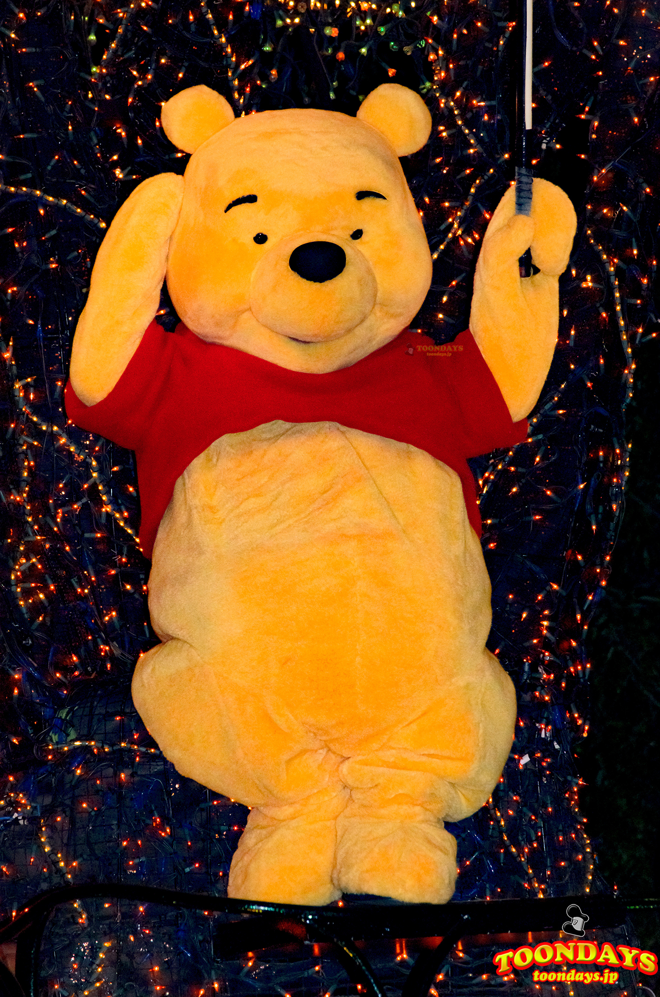 東京ディズニーランド・エレクトリカルパレード・ドリームライツのプーさん