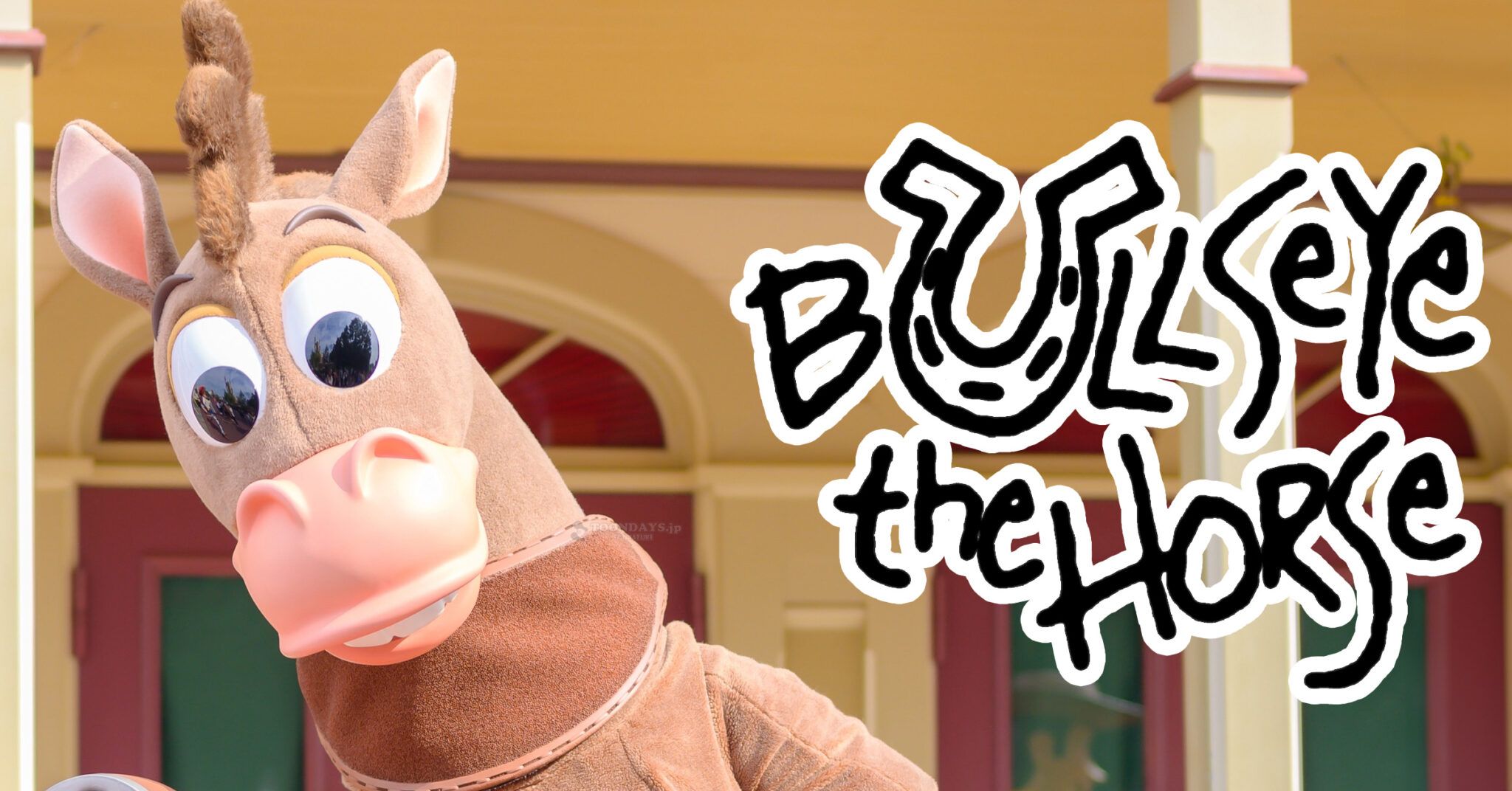 ブルズアイのカード